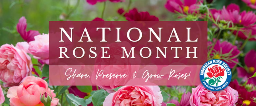 National Rose Month 23
