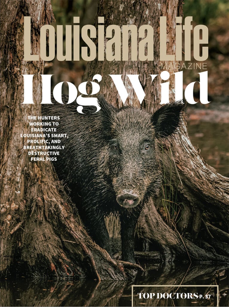 LlCover_November_2023