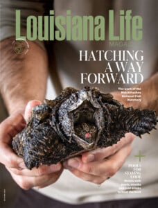 Ll Mayjune Cover