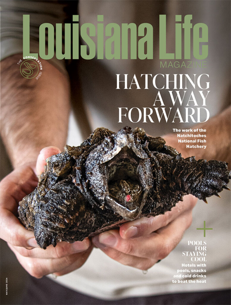 Ll Mayjune Cover