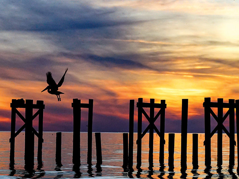 Photocontest Ft