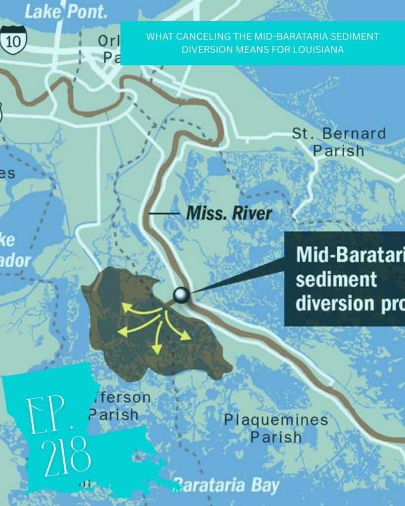 Mid-Barataria Louisiana Insider 1