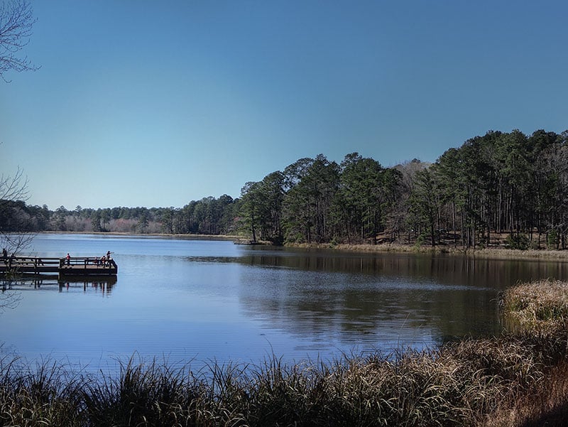 Fall Kisatchie