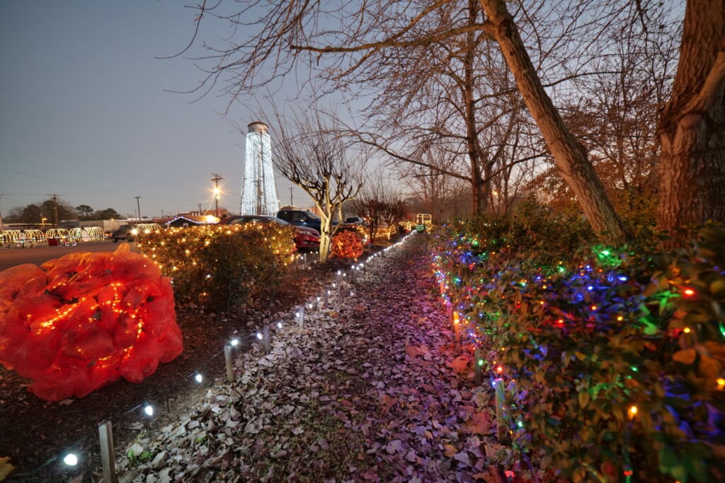 Logansport Lights Path in Desoto Parish