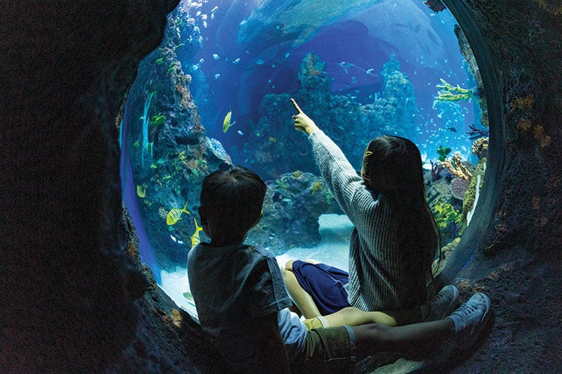 Ft Ad Aquarium