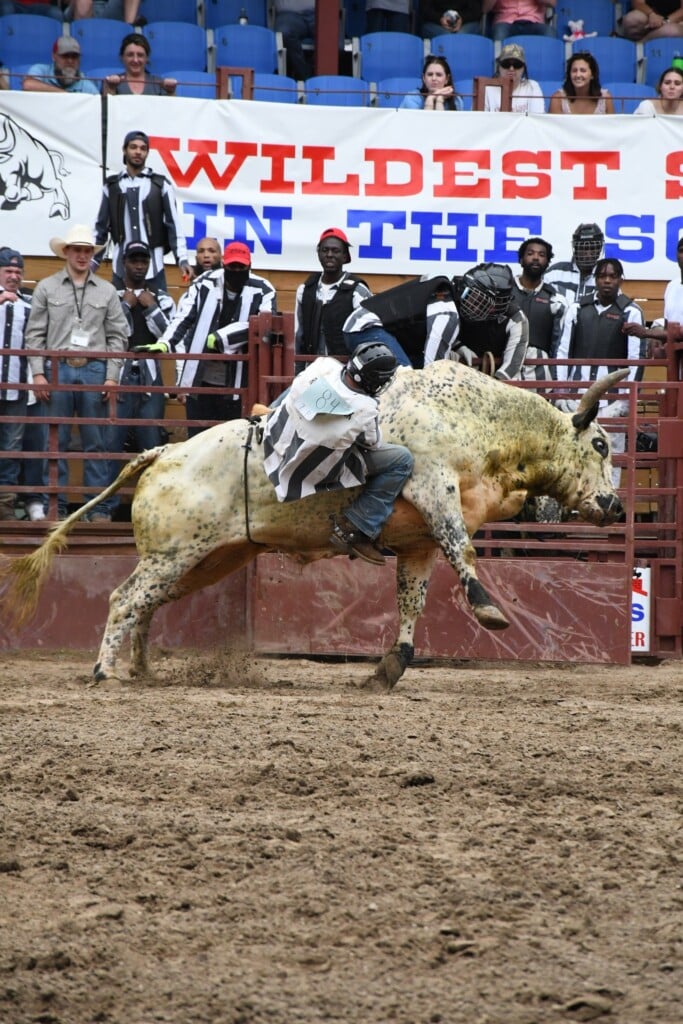 Angola Prison Rodeo 2025: Angola inmate holding onto moving bull with other inmates watching in the background