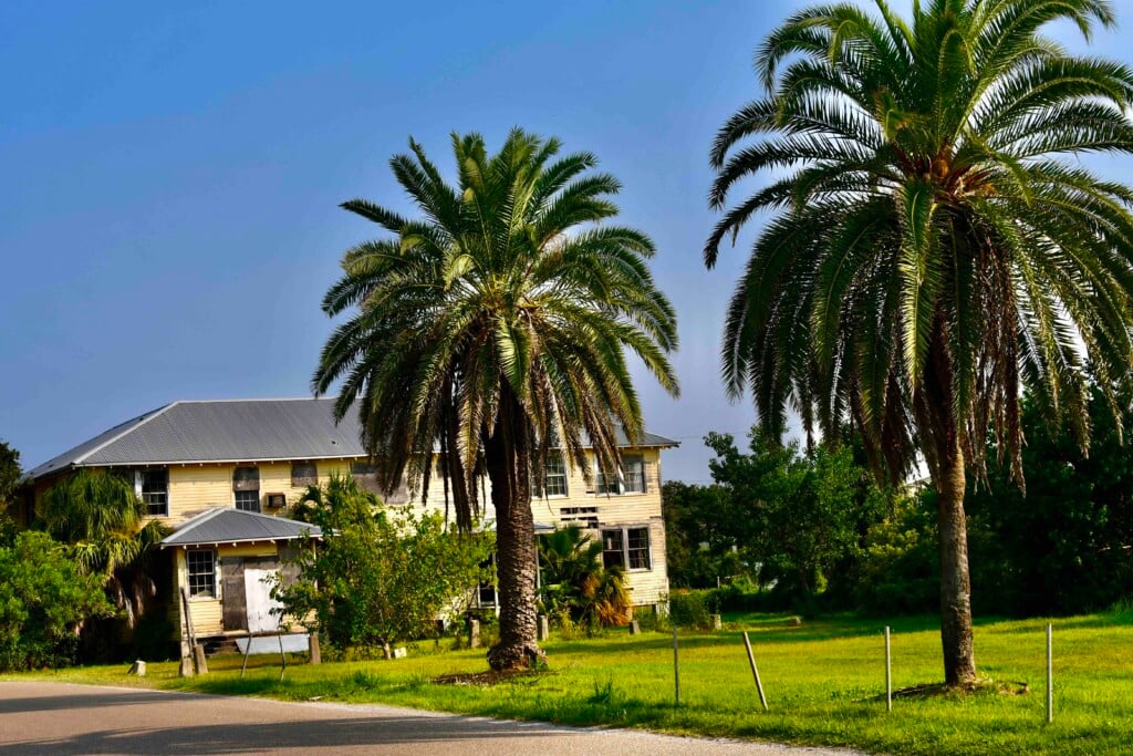 Oleander Hotel on May 21, 2026 with palm trees, grass and road in foreground
