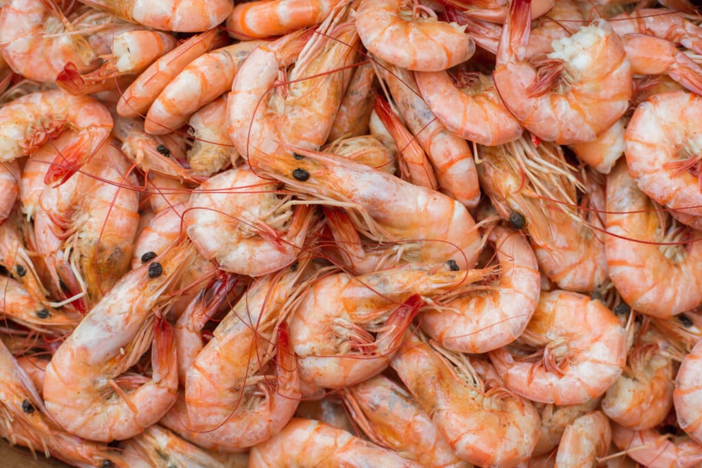 Boiled shrimp image: Louisiana shrimp season