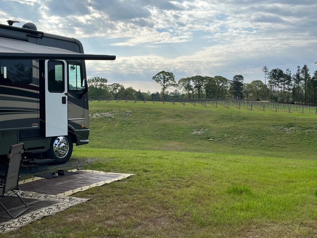 Landry Vineyards: Best Place to Camp in the Southeast from The Dyrt