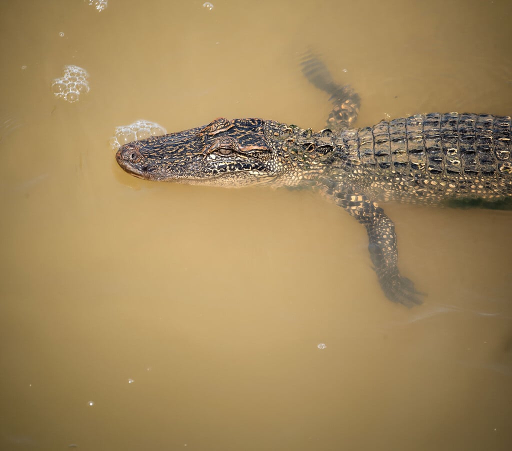 Photocontest