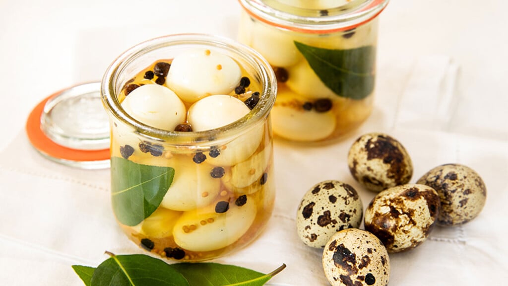 Pickledquaileggs Ft