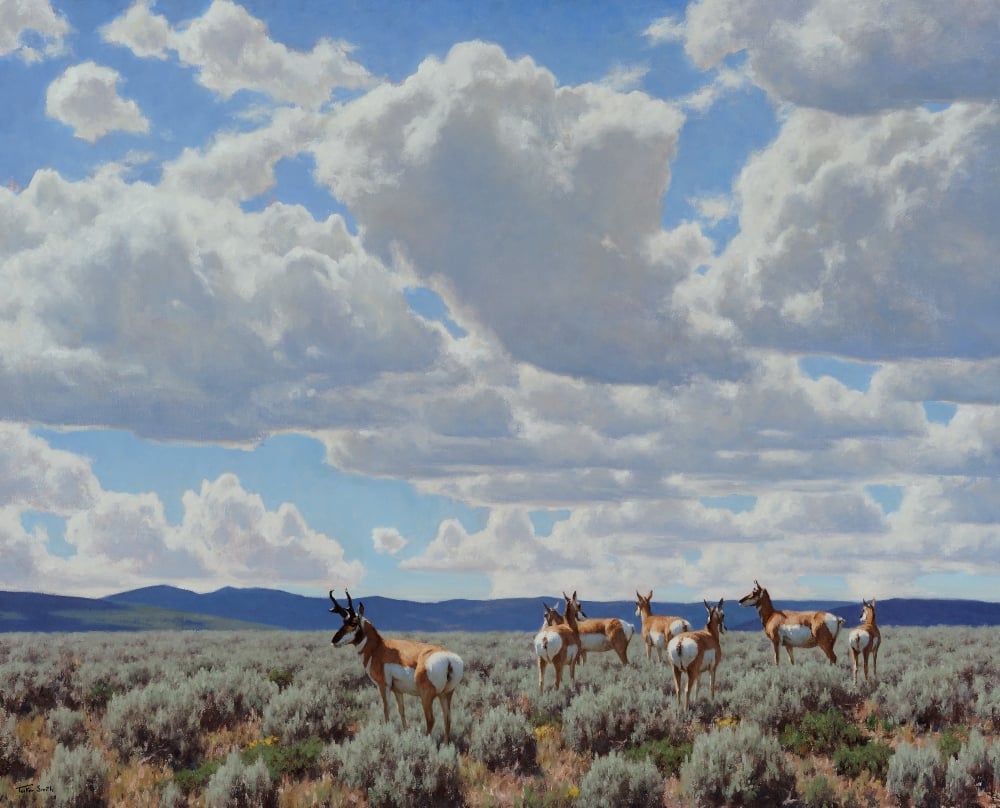 Large Antelope 50 Inches Wide