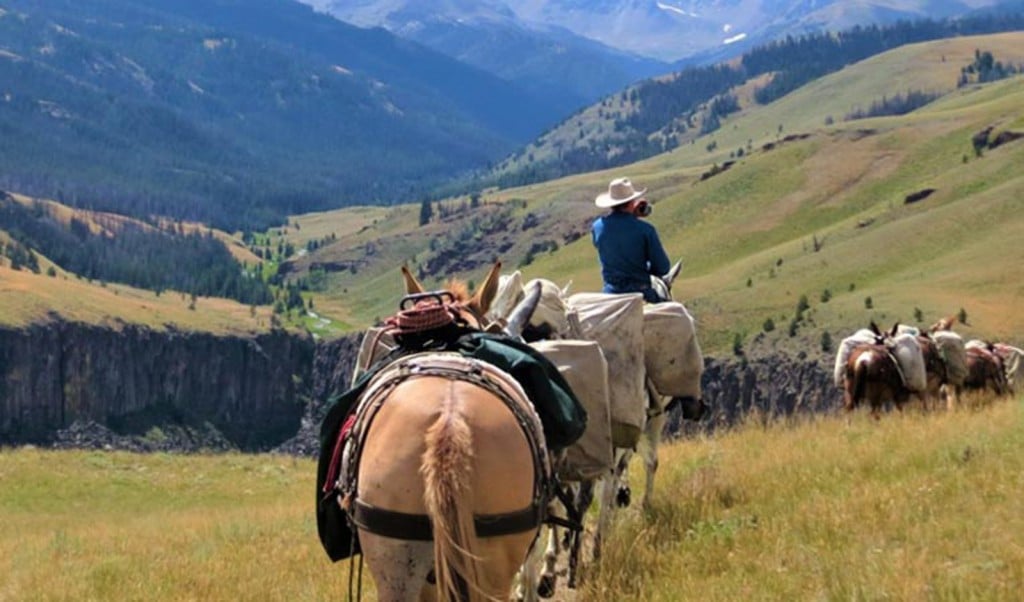Bow Wyoming Outfitter And Guides Daily Trial Rides