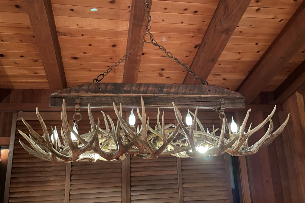 Modern 2024 antler chandelier