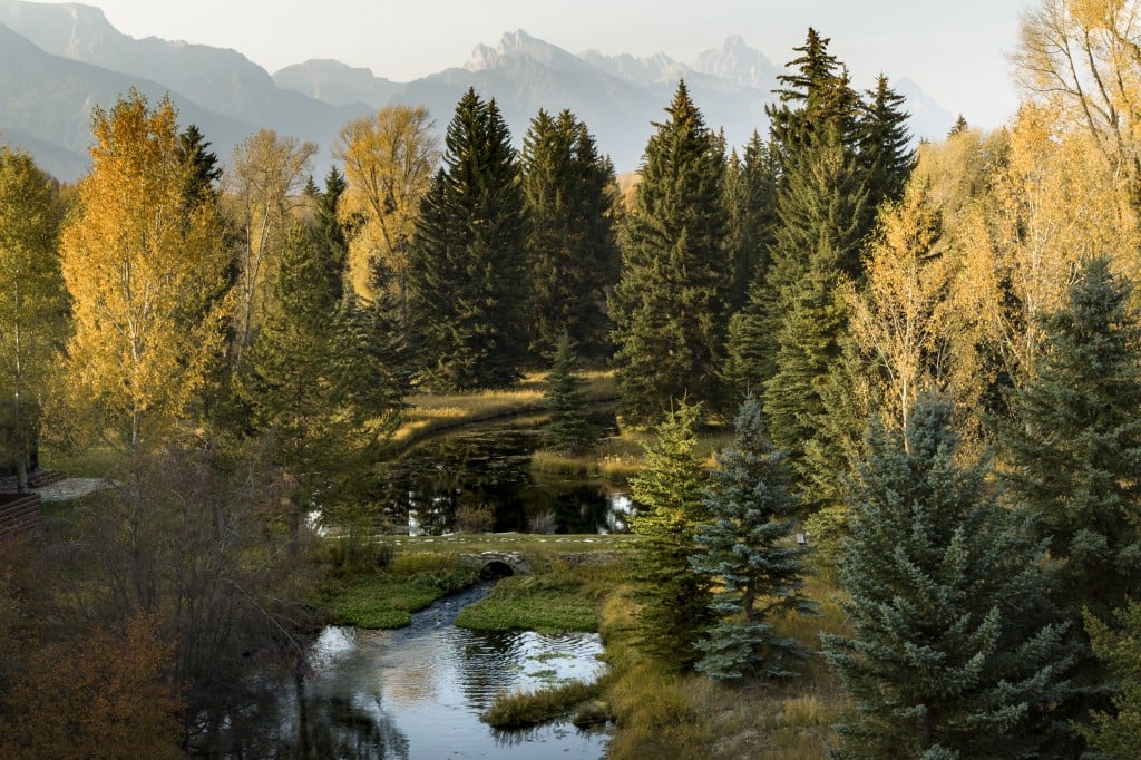 3 Wrj Jh Cabin Landscape By Eric Piasecki