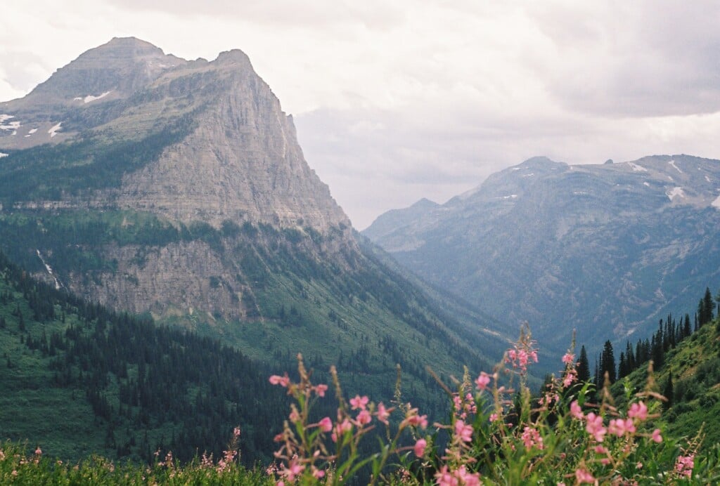 Glacier Np 2 Scout Petersen