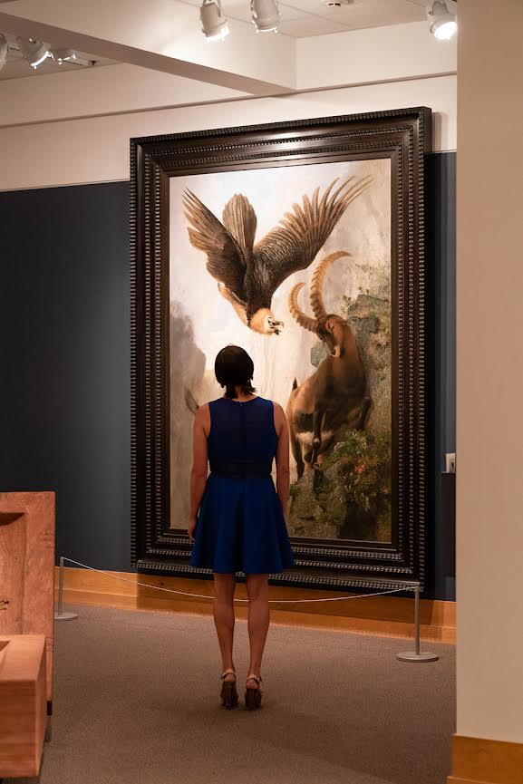 Joseph Wolf Germany 1820 1899 Bearded Vultures Attacking An Alpine Ibex 1861 Oil On Canvas 905 X 67 Inches Gift Of The 2013 Collectors Circle National Museum Of Wildlife Art