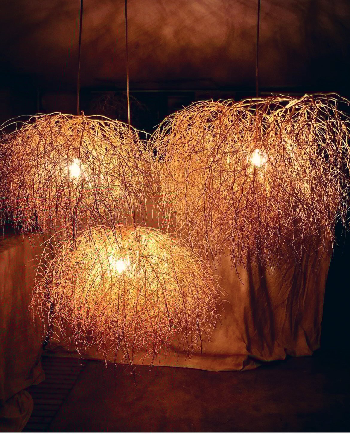 Turning Tumbleweeds Into Treasures Mountain Living