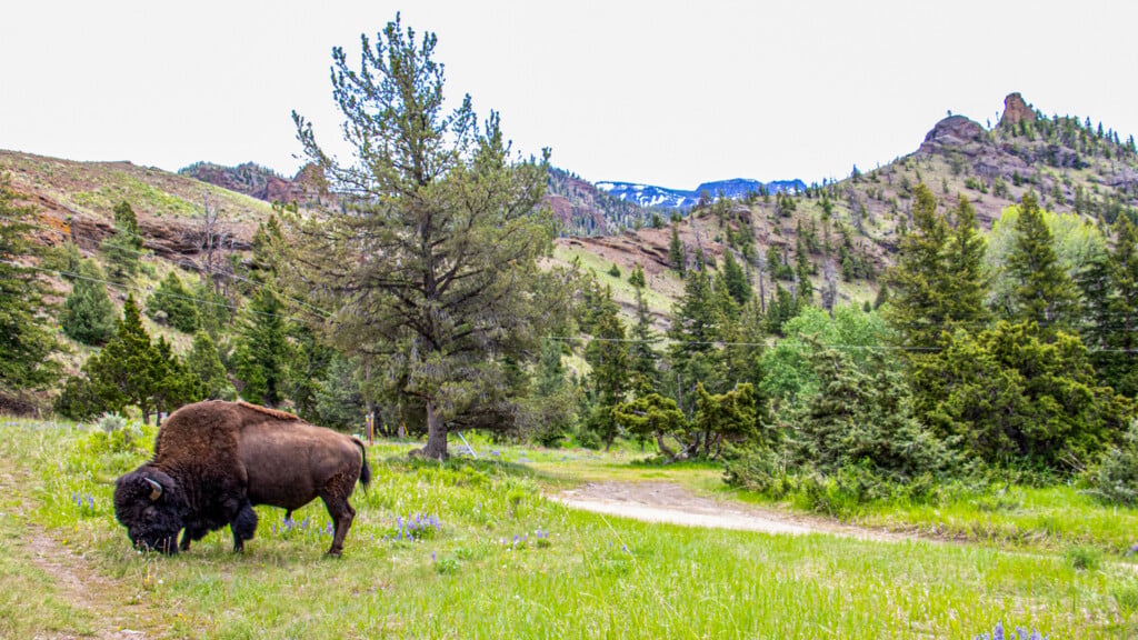 Suing Ranch Pop-Up Ranch Concept Offers an Authentic Dude Ranch Experience ...