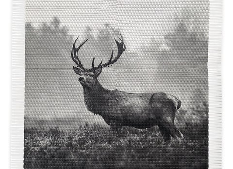 Red Deer 32x40 Bengoechea Woven Photograph