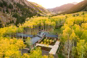 005454 00 N234 Large Sized