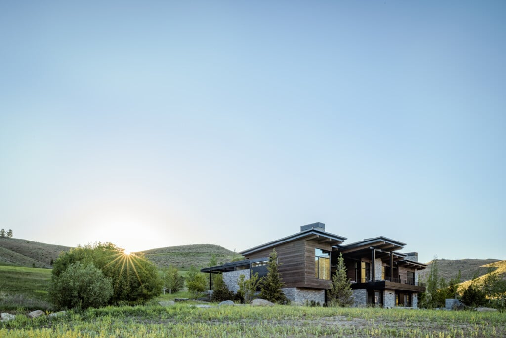 Gabe Border Lyons 22