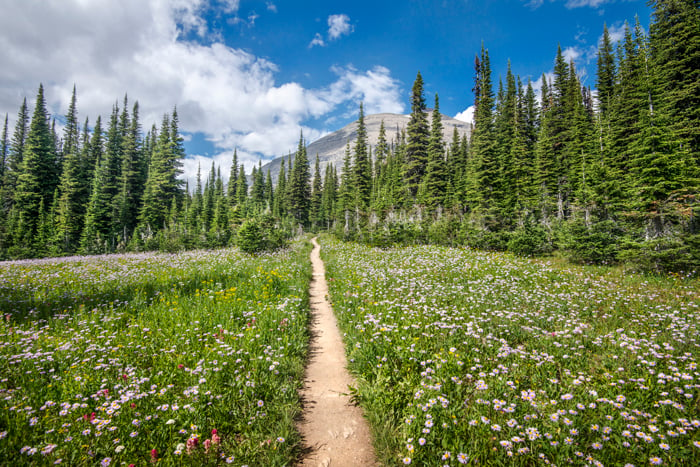 The Bucket List - Mountain Living