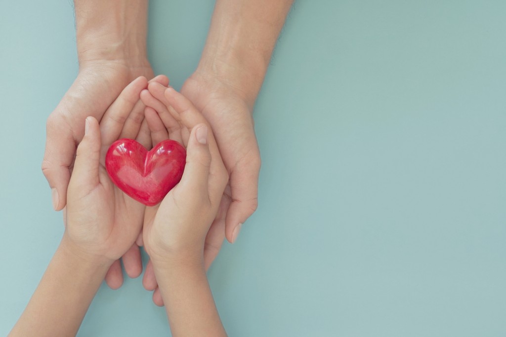 Hands Holding Red Heart, Health Care, Love, Organ Donation, Mindfulness, Wellbeing, Family Insurance And Csr Concept, World Heart Day, World Health Day, National Organ Donor Day