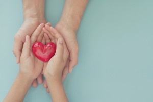 Hands Holding Red Heart, Health Care, Love, Organ Donation, Mindfulness, Wellbeing, Family Insurance And Csr Concept, World Heart Day, World Health Day, National Organ Donor Day