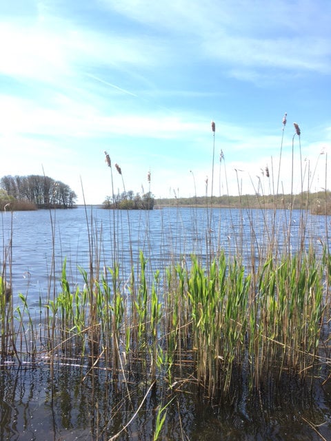 Trustom Pond National Wildlife Refuge