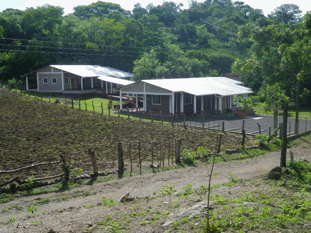 Dr. Brown's Honduras