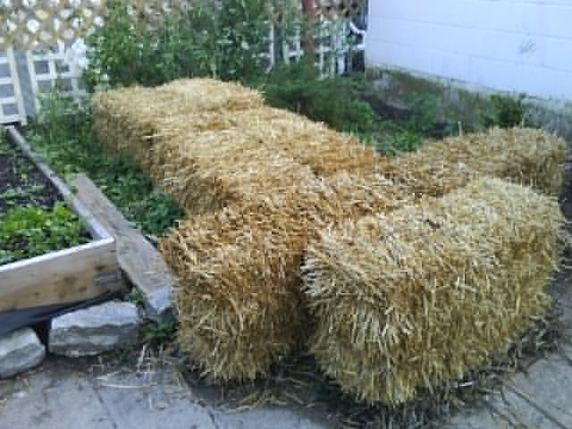 The straw bales are here