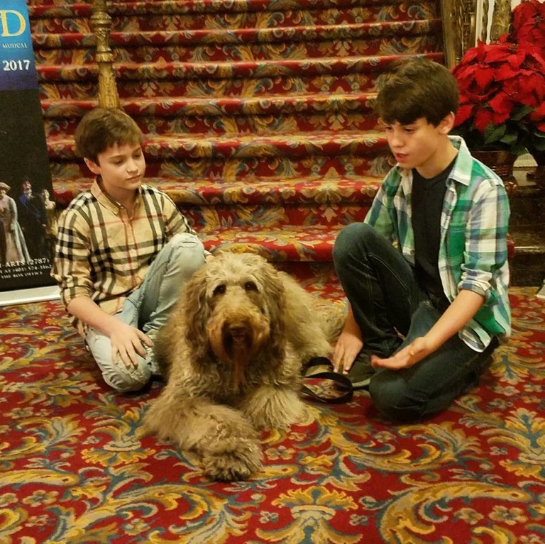 Finding Neverland Plays at PPAC This Weekend Rhode Island Monthly