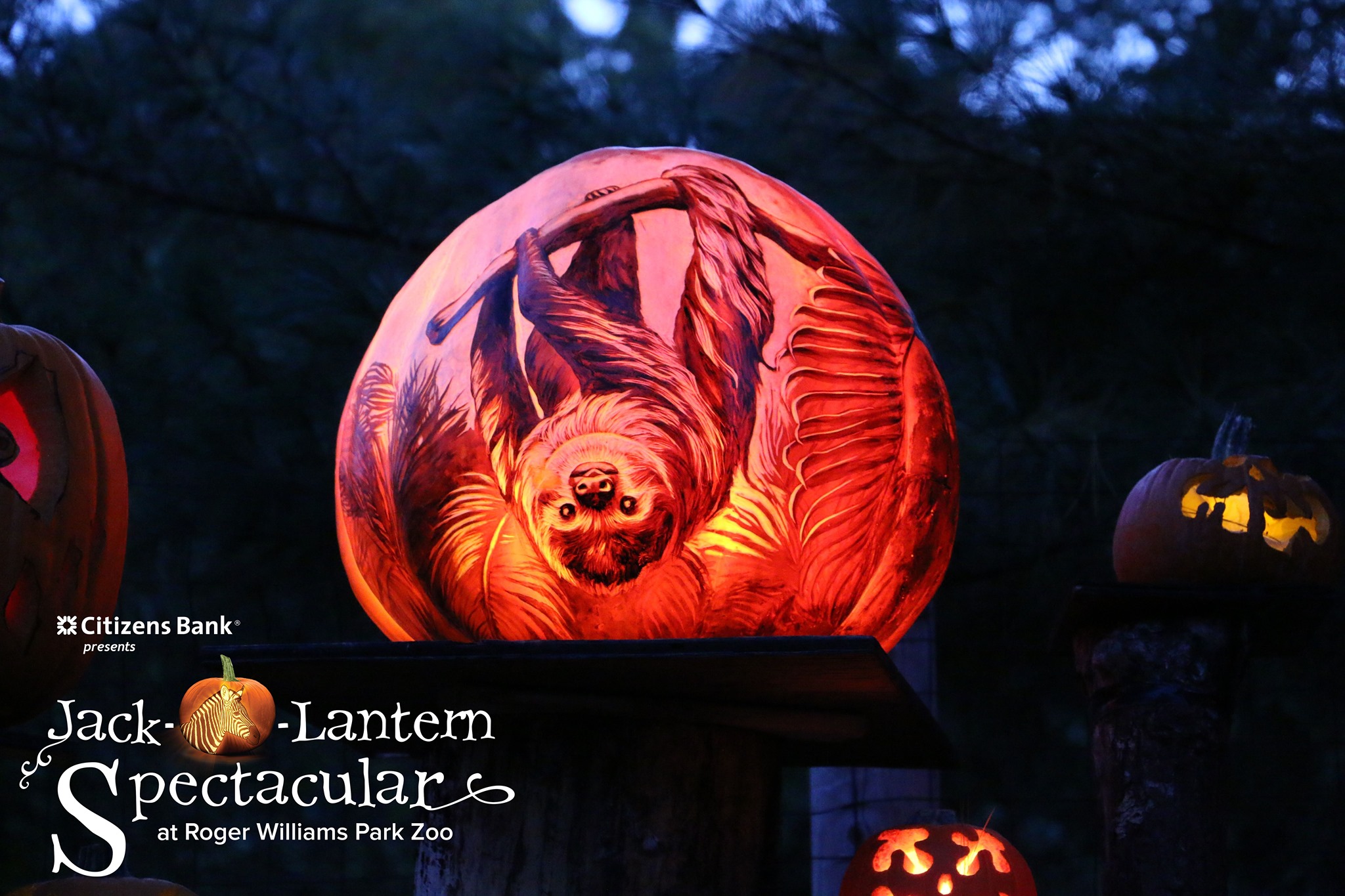 jack o lantern spectacular roger williams