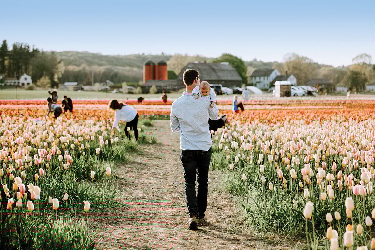 Wicked Tulips Flower Farm Opens Once Again for Spring Picking Rhode