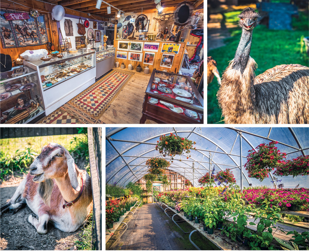 Charlestown Shop for Anything but Umbrellas at the Fantastic Umbrella