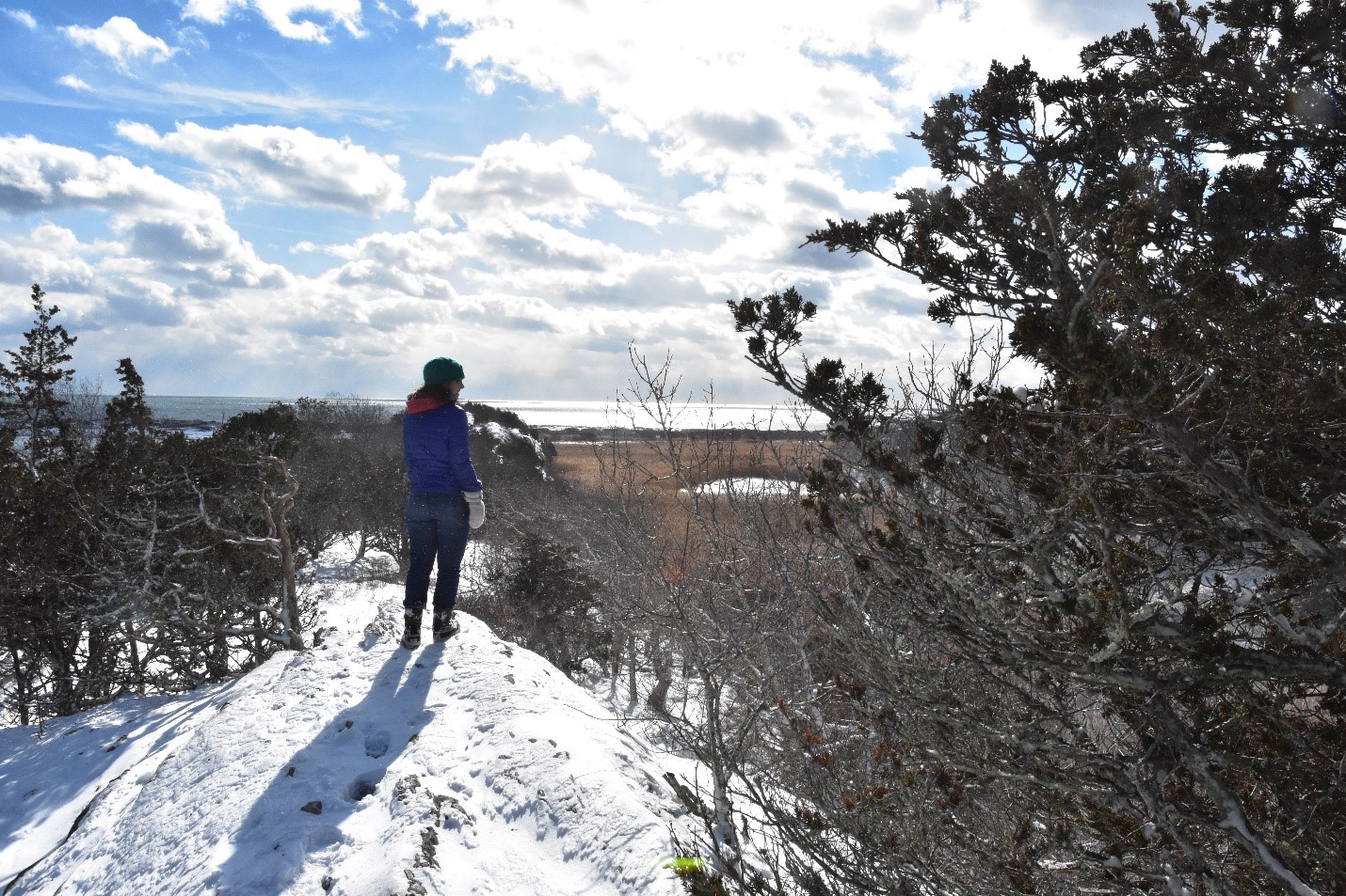 2 10 17 Meghan Snow Hanging Rock Compressed Smaller Rhode Island Monthly