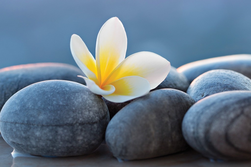 Mindfulness 2