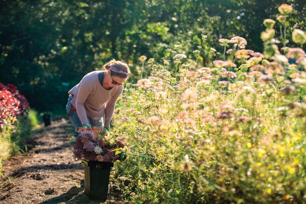 Rhode Island Flower Farmers Share Their Best Green-Thumbed Tips