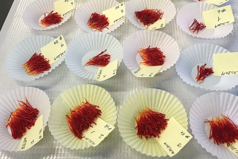 Is Saffron Rhode Island's Next Cash Crop? Rhode Island Monthly