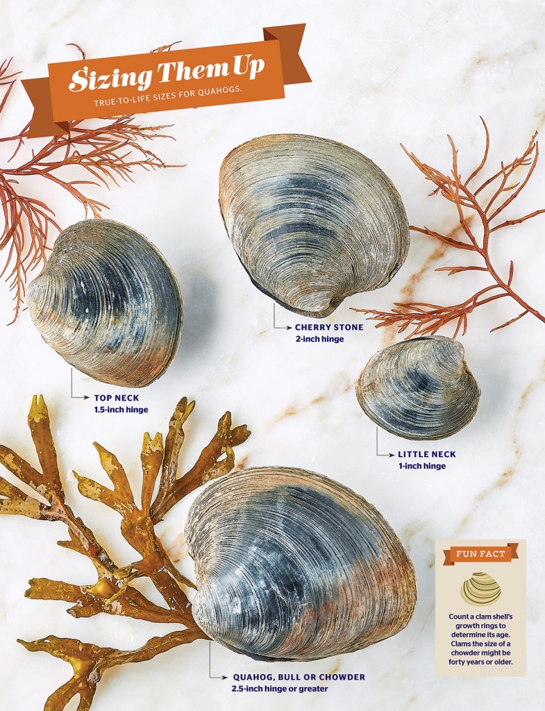 The Essential Rhode Island Quahog Guide Rhode Island Monthly