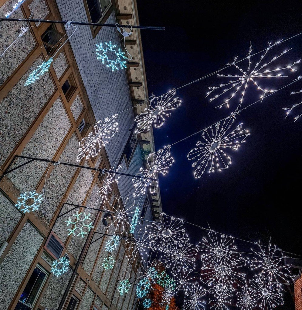 Roger Williams Park Zoo Offers a DriveThrough Holiday Lights