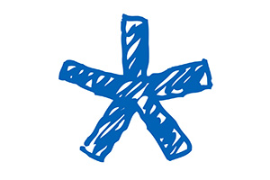 Blueflash Logo