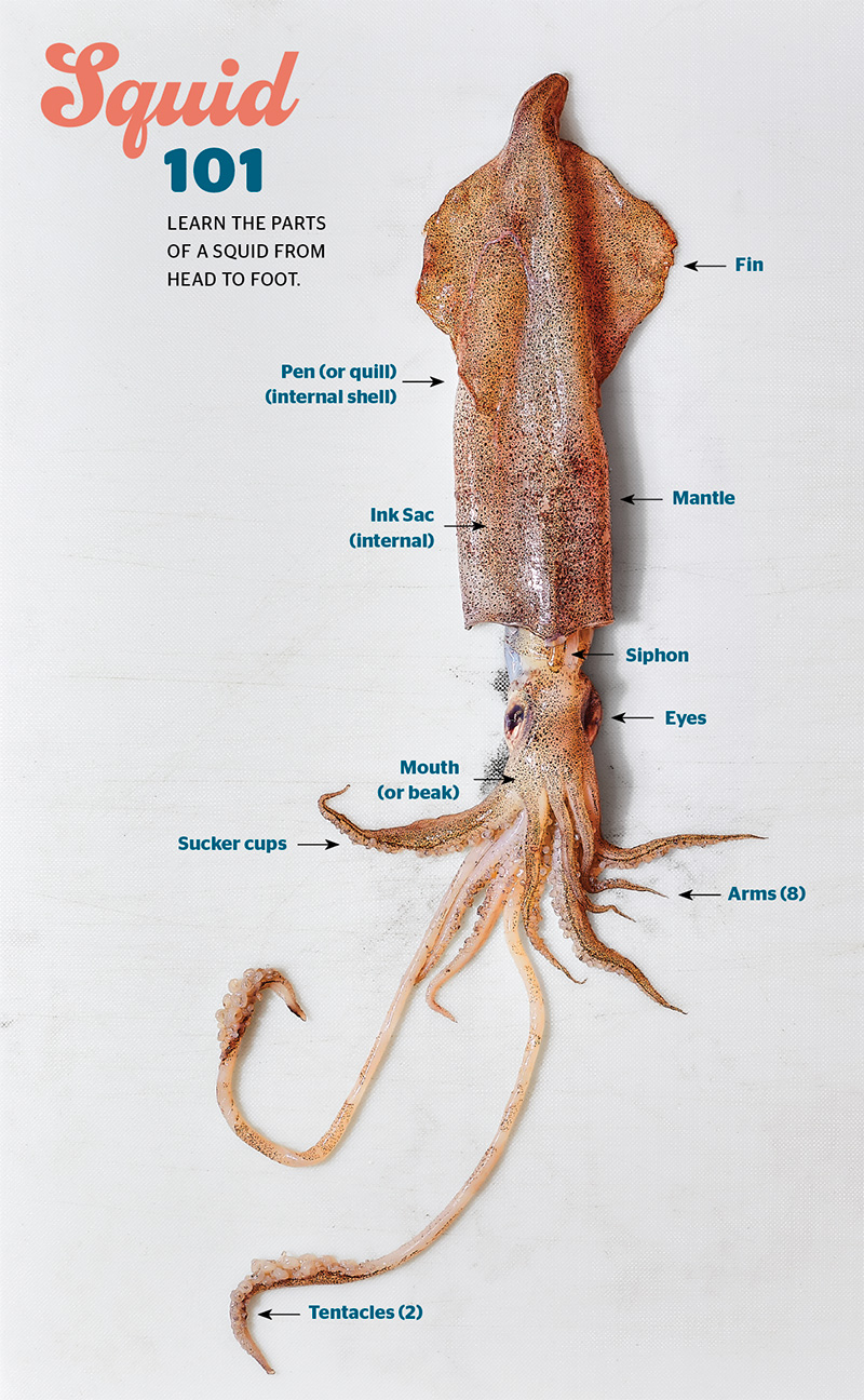 How to Prep Squid For Cooking at Home - Rhode Island Monthly