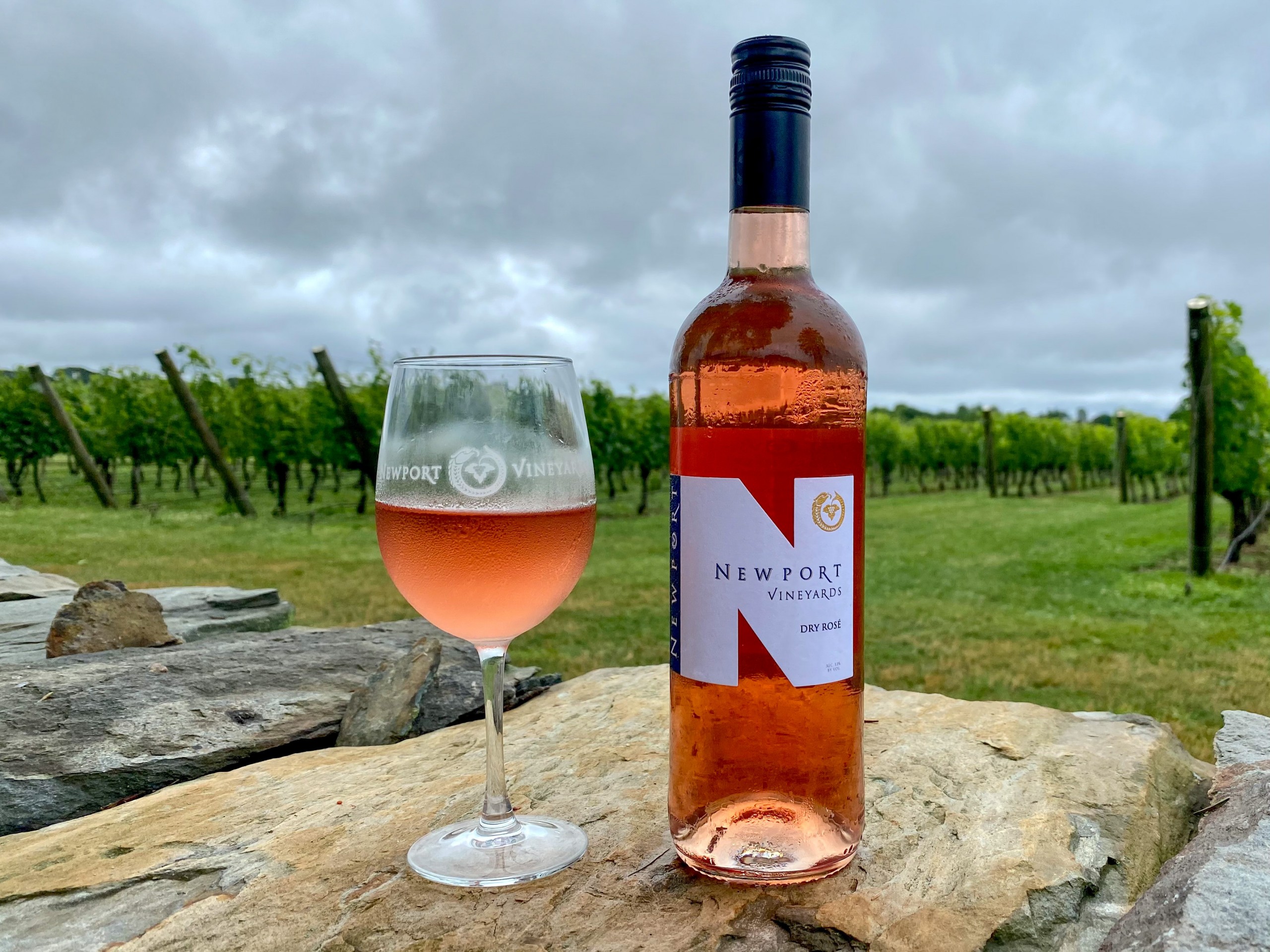 NewportVineyards_DryRose_Vines - Rhode Island Monthly