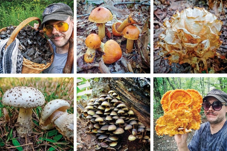 For Chef Spike Mikulski, There's Magic in Wild Mushrooms Rhode Island