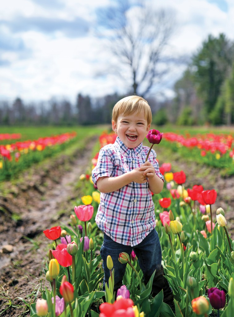 6 Pick-Your-Own Flower Farms in Rhode Island – Rhode Island Monthly