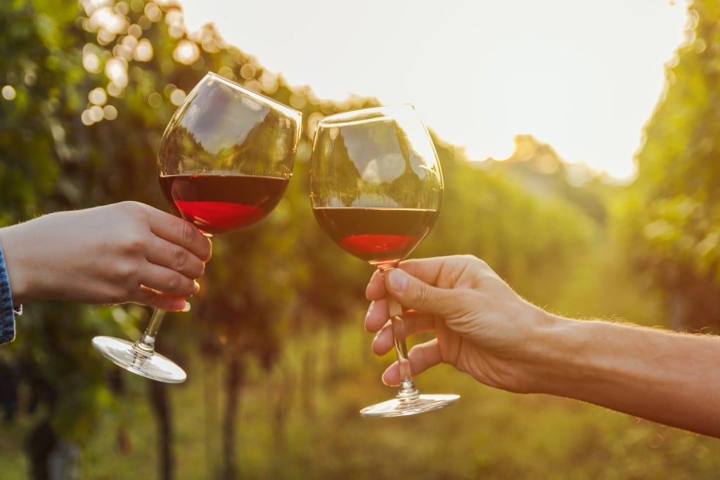 Two Hands Clinking Red Wine Glass In A Vineyard During Sunset.