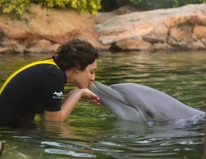 Angelina 14 With Dolphin
