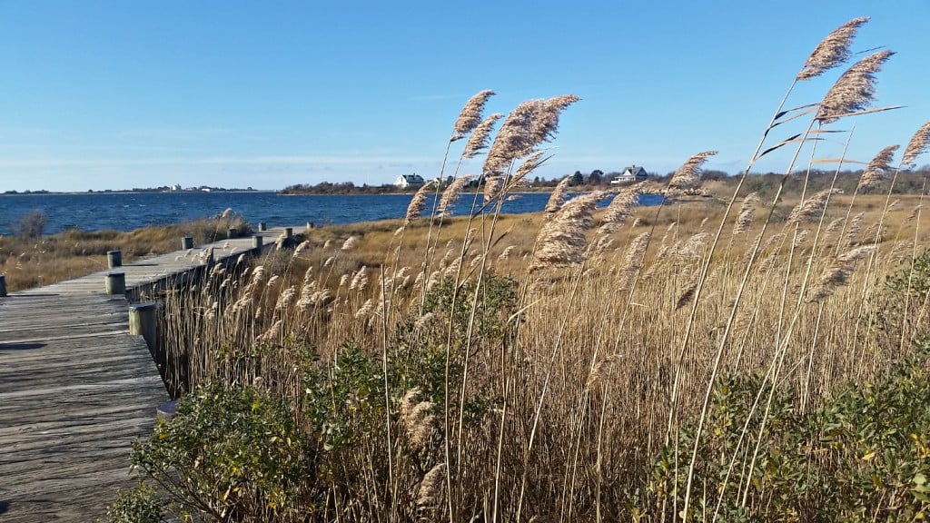 How to Get Your Weekend's Worth at the Block Island Holiday Stroll